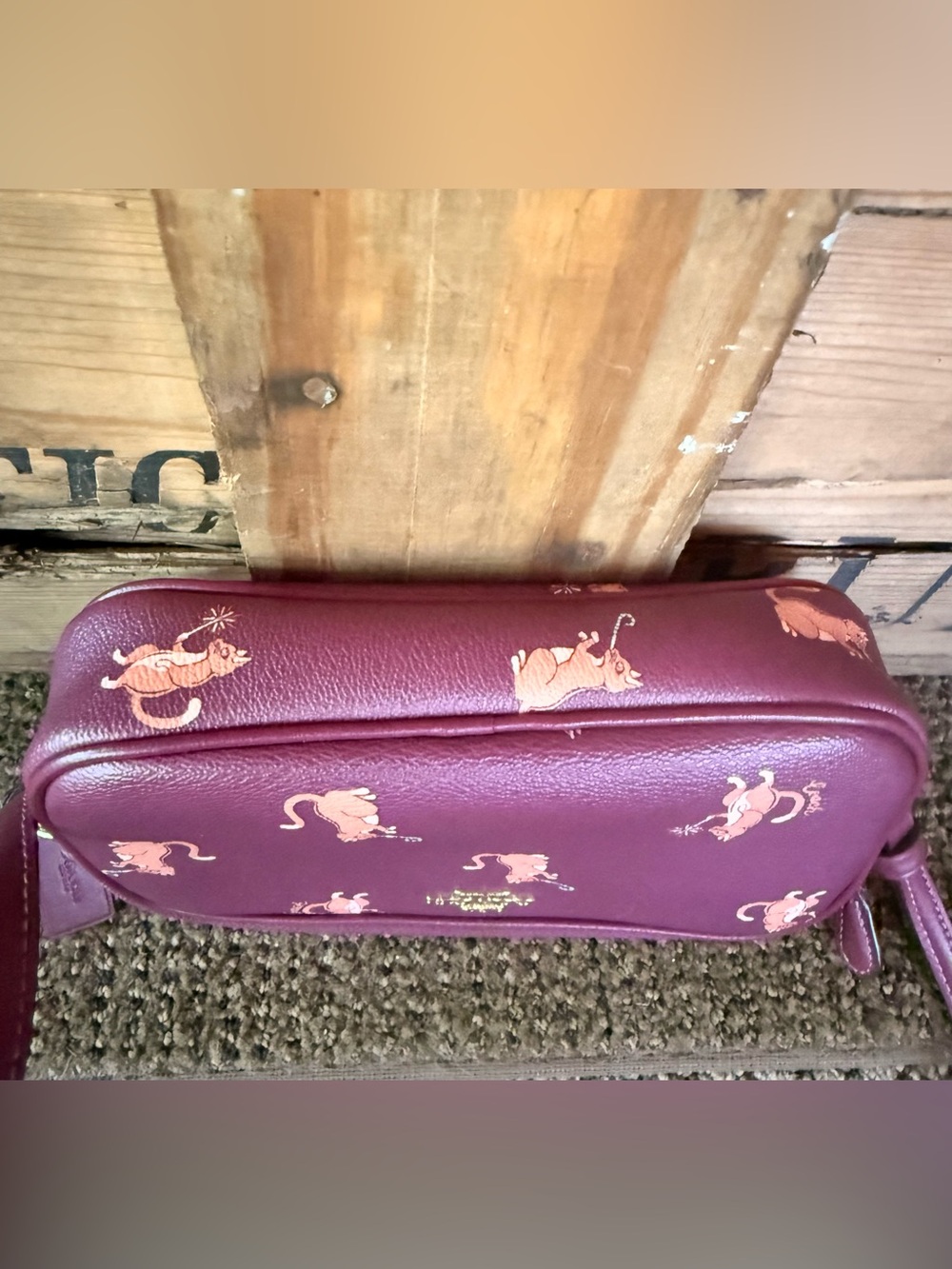 Coach Party Cat Crossbody Pouch - Picture 4 of 10